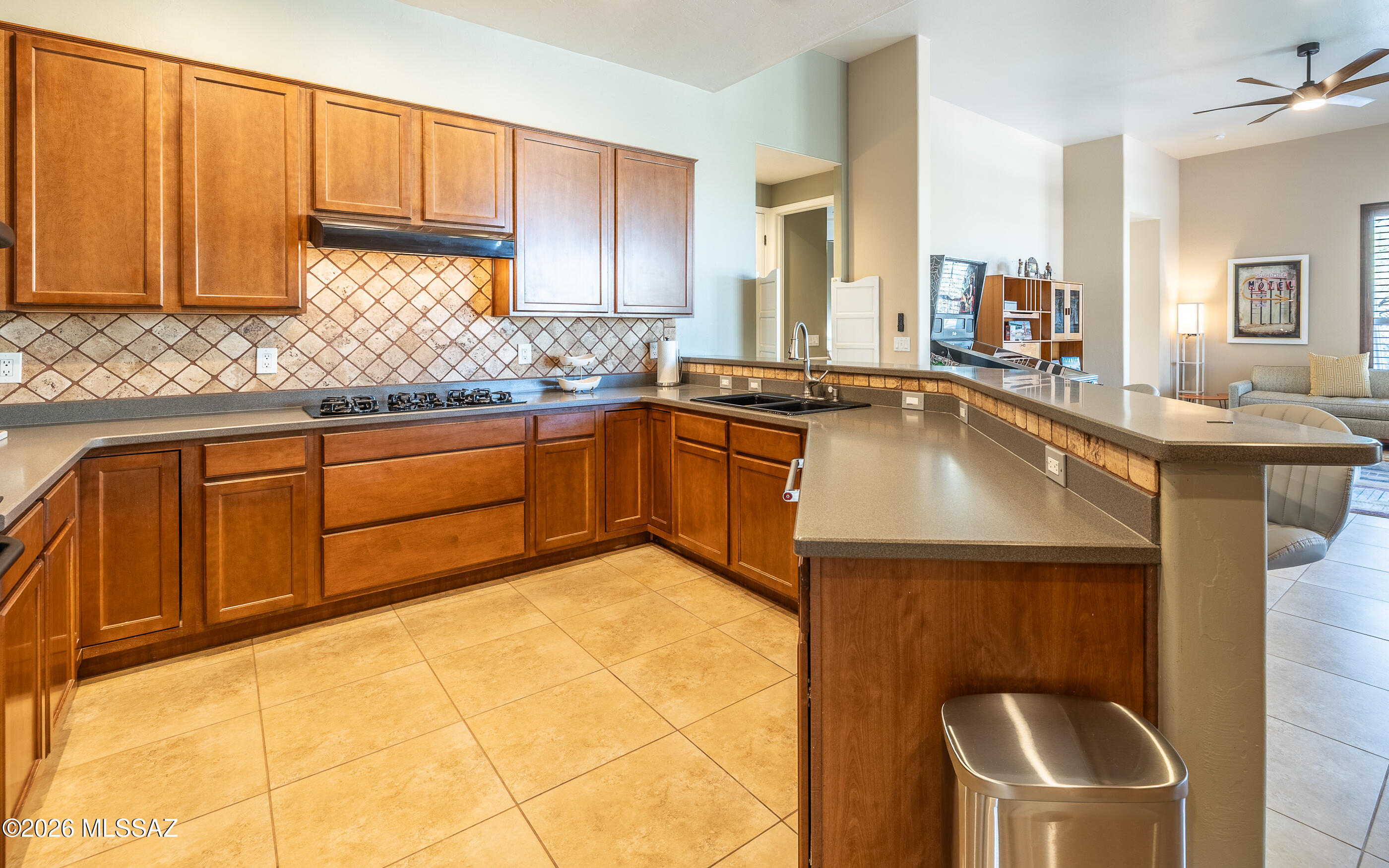 Rancho Vistoso Neighborhood 10 - Residential
