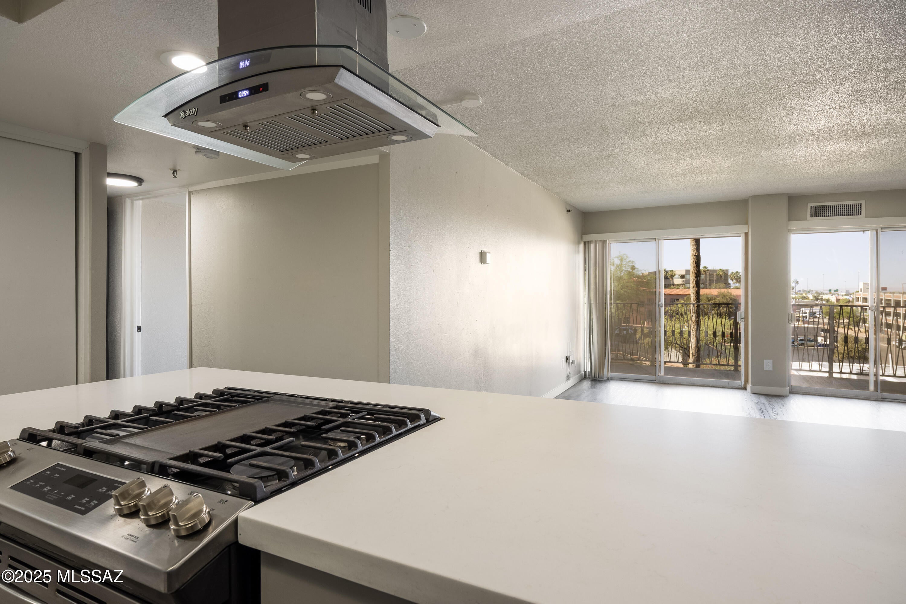 425 W Paseo Redondo 3L