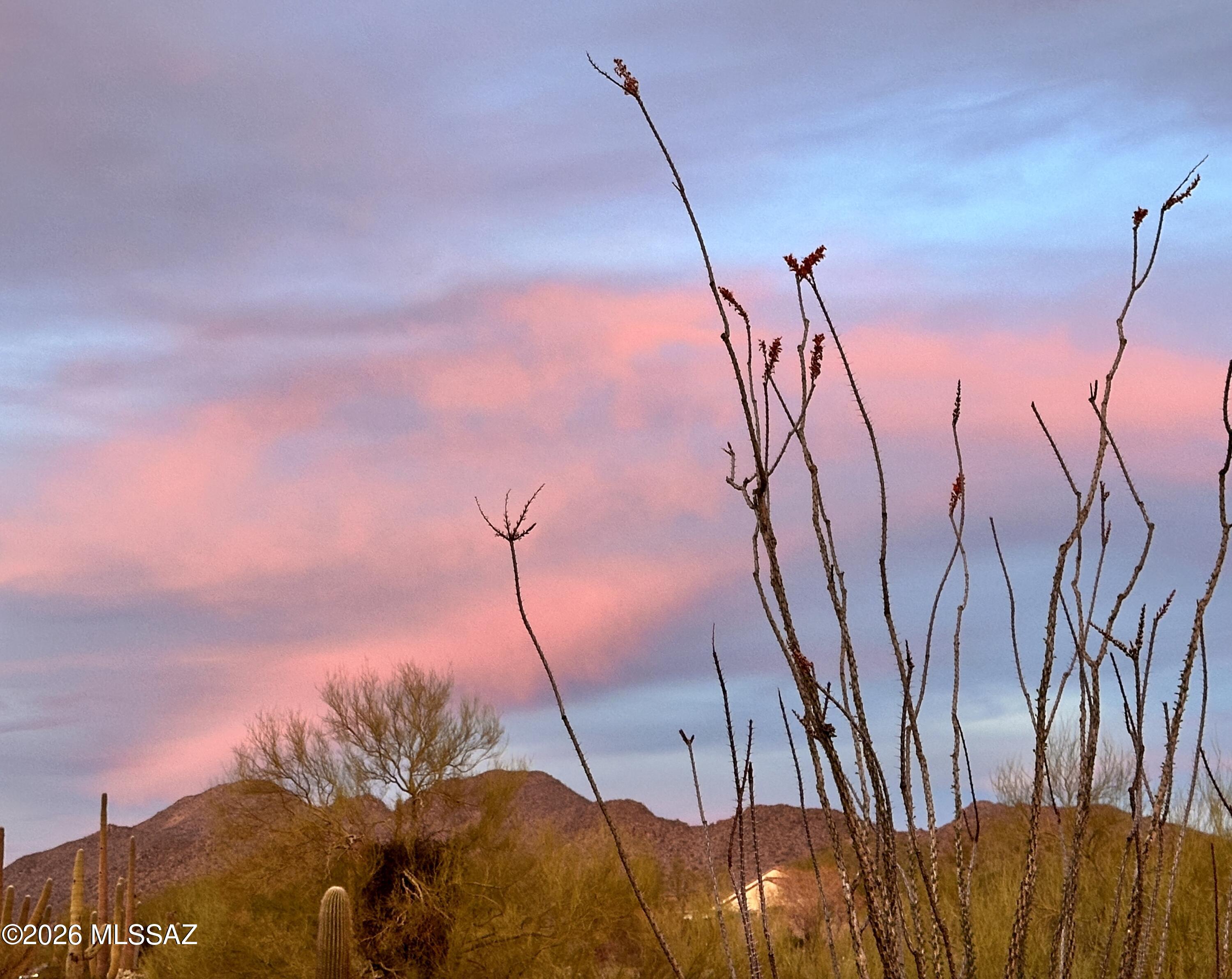 6799 W Cliff Spring Trail