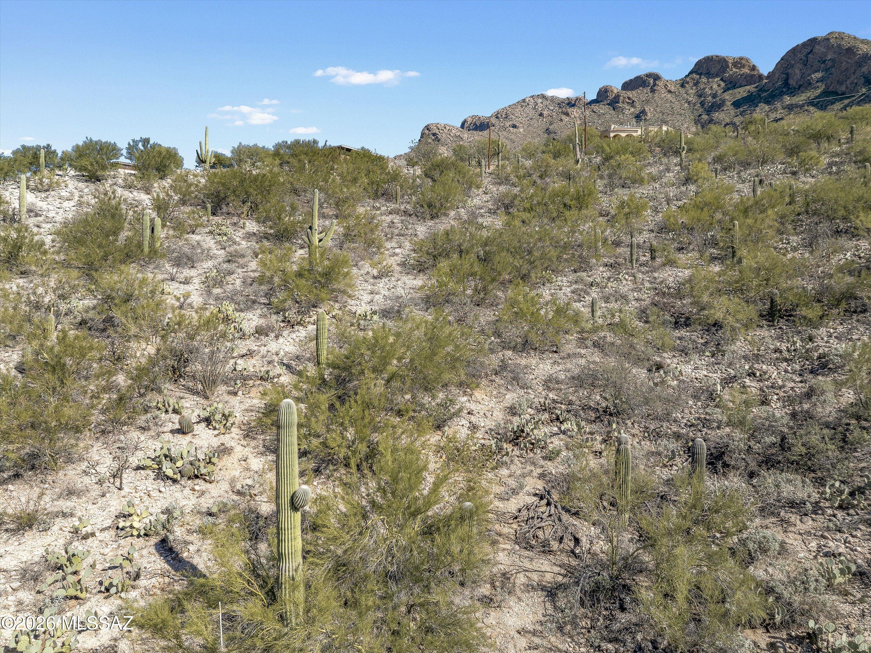 Shadow Mountain Estates - East - Land
