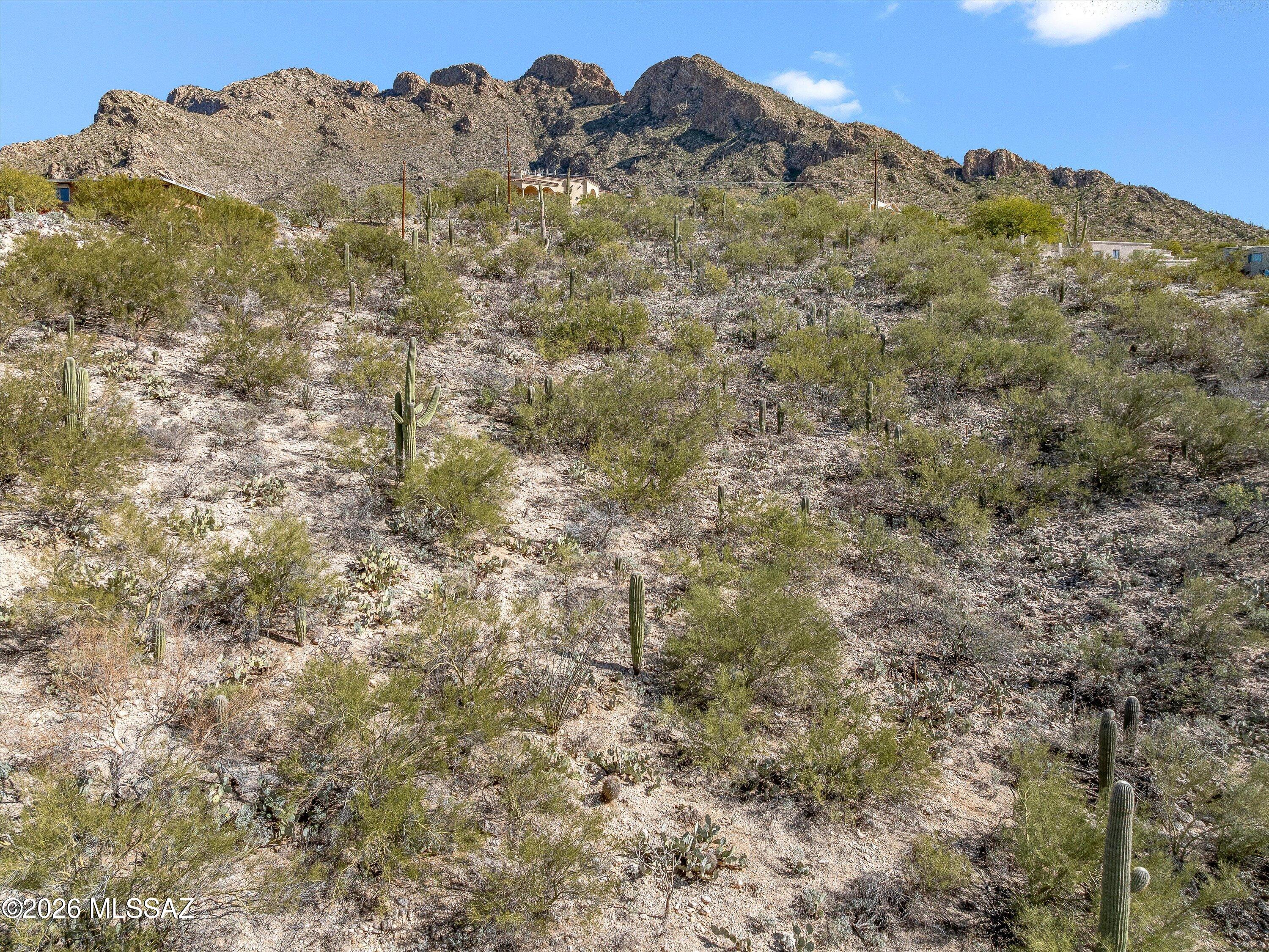 Shadow Mountain Estates - East - Land