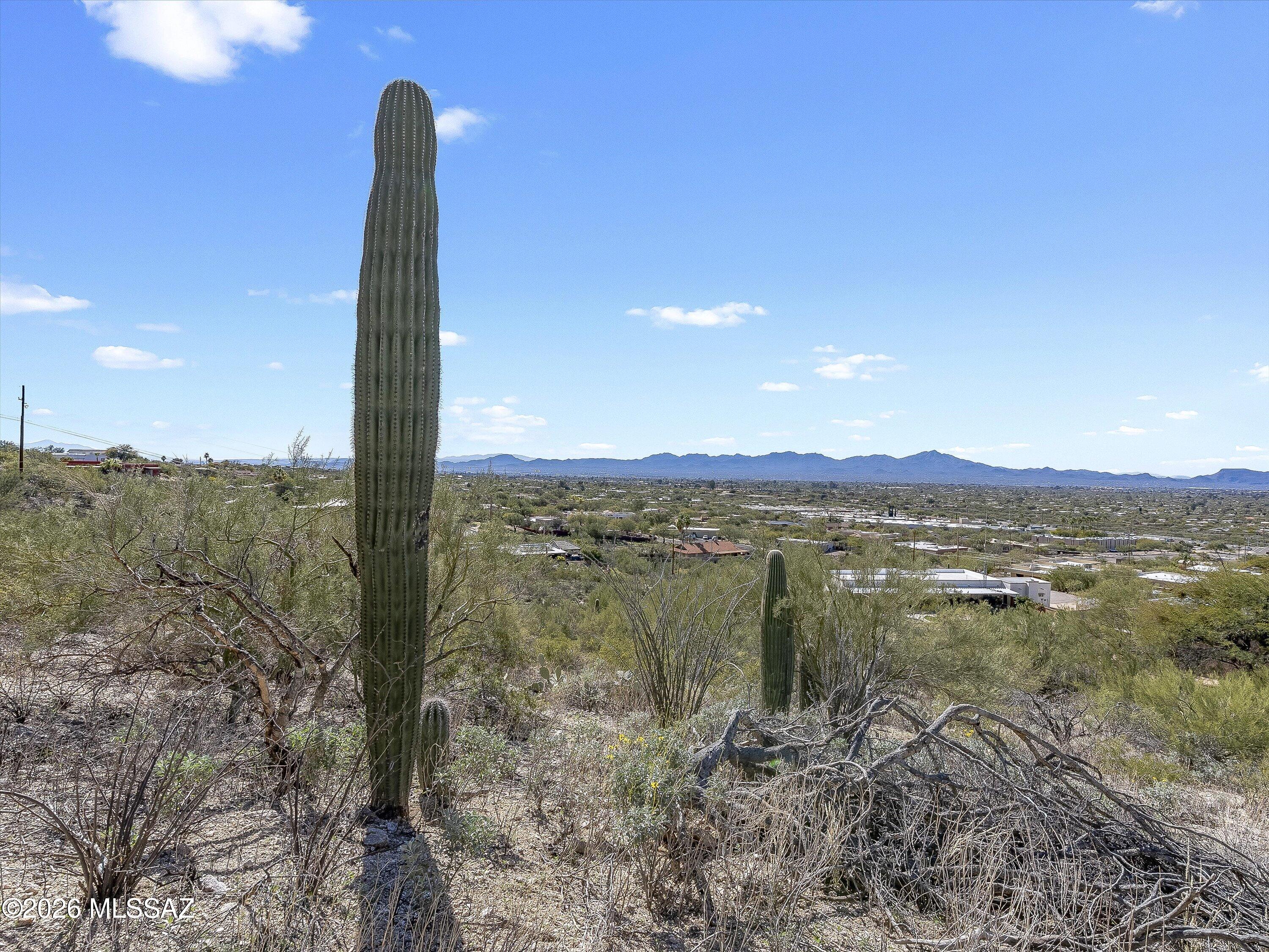 Shadow Mountain Estates - East - Land