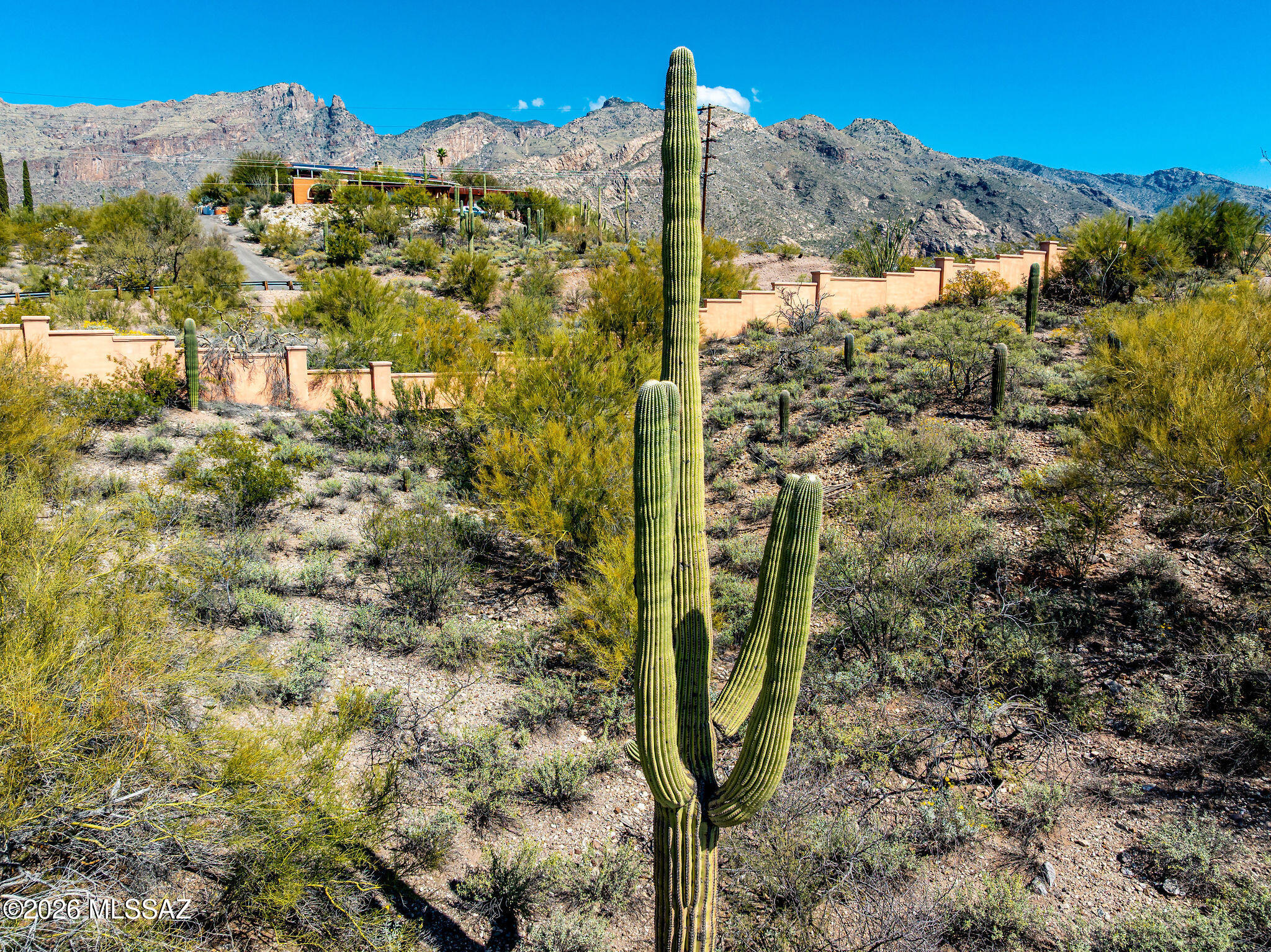 La Paloma Ridge Estates I (1-69) - Land