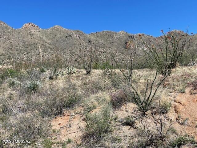 Rio Rico Ranchettes 17 - Land