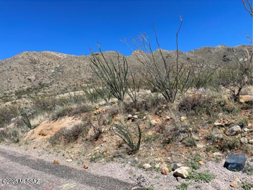Rio Rico Ranchettes 17 - Land