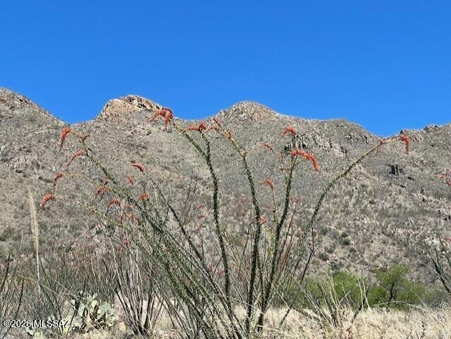 Rio Rico Ranchettes 17 - Land