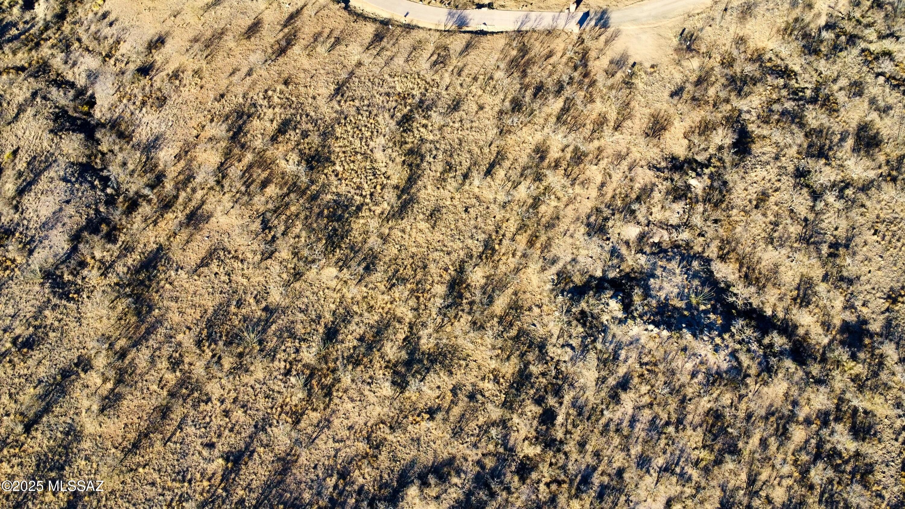 Morning Star Ranch - Land