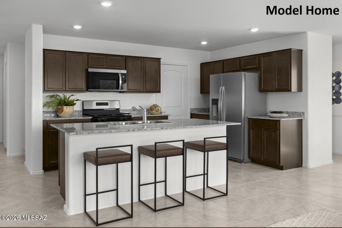 11054 S Guillermo Haro Drive