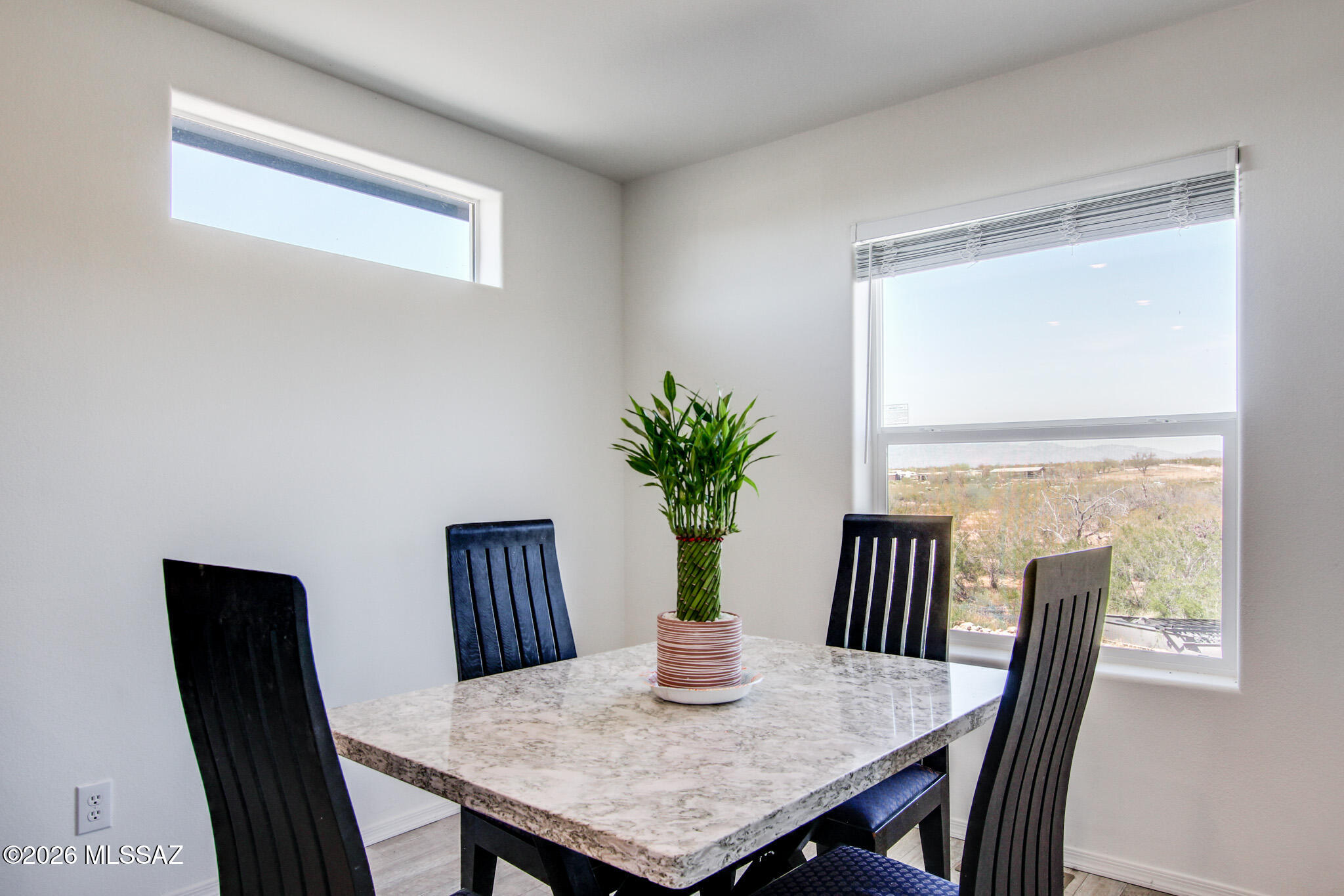 9099 S Atterbury Wash Way