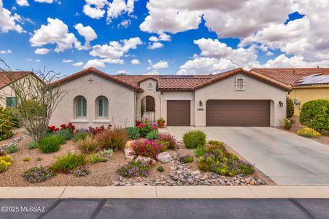 59978 E Amur Lane Oracle AZ 85623