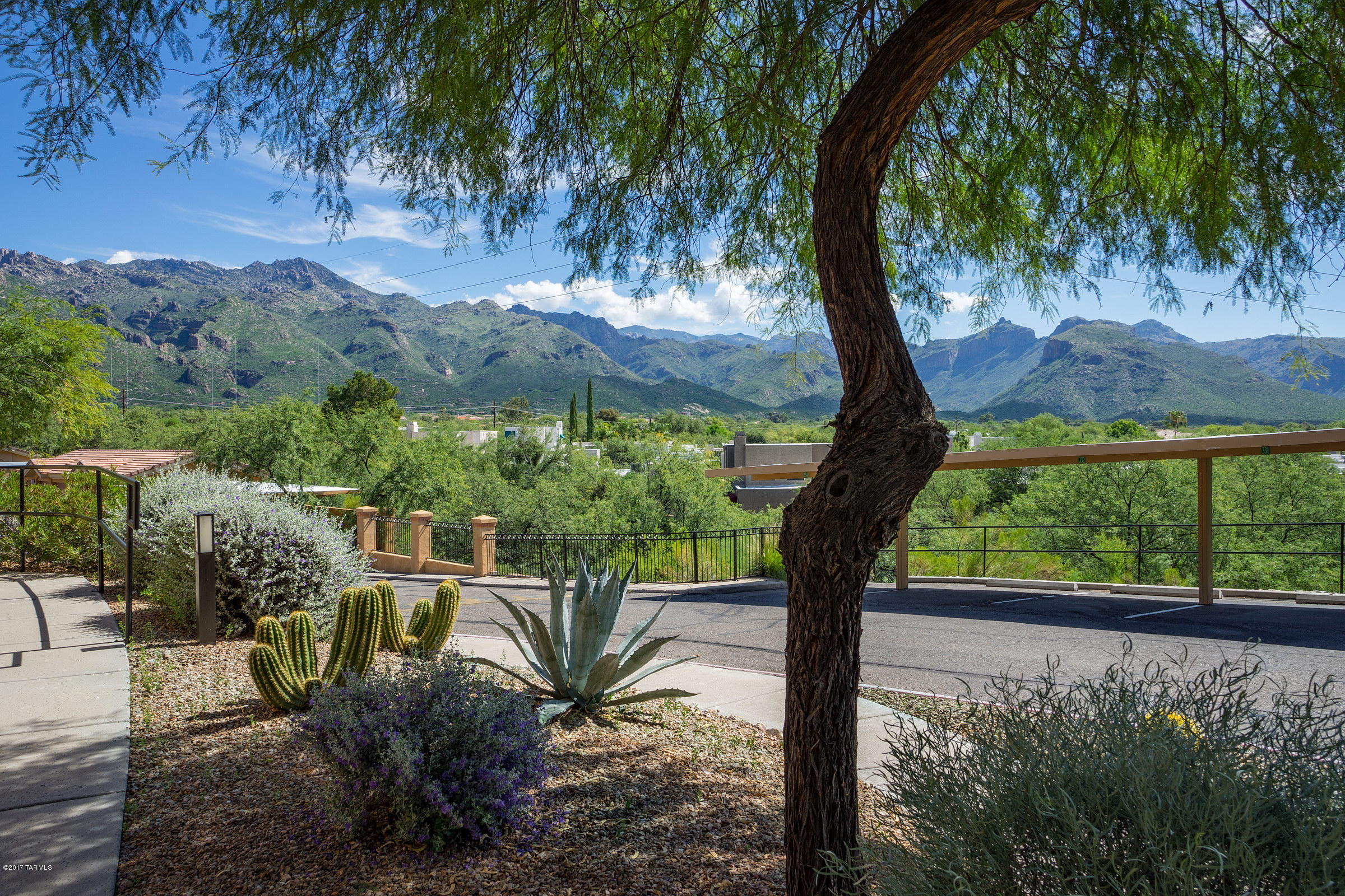 Pinnacle Canyon Condominium - Residential Lease