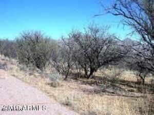 Rio Rico Estates 10 - Land