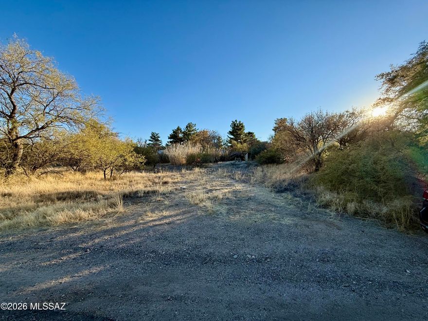 Discover an exceptional opportunity to own a prime piece of land in the heart of Oracle, Arizona. Perfectly positioned with excellent visibility and access, this blank canvas is ready for your vision with electricity, water and other utilities conveniently Located at the lot line, it is ready for your plans!
