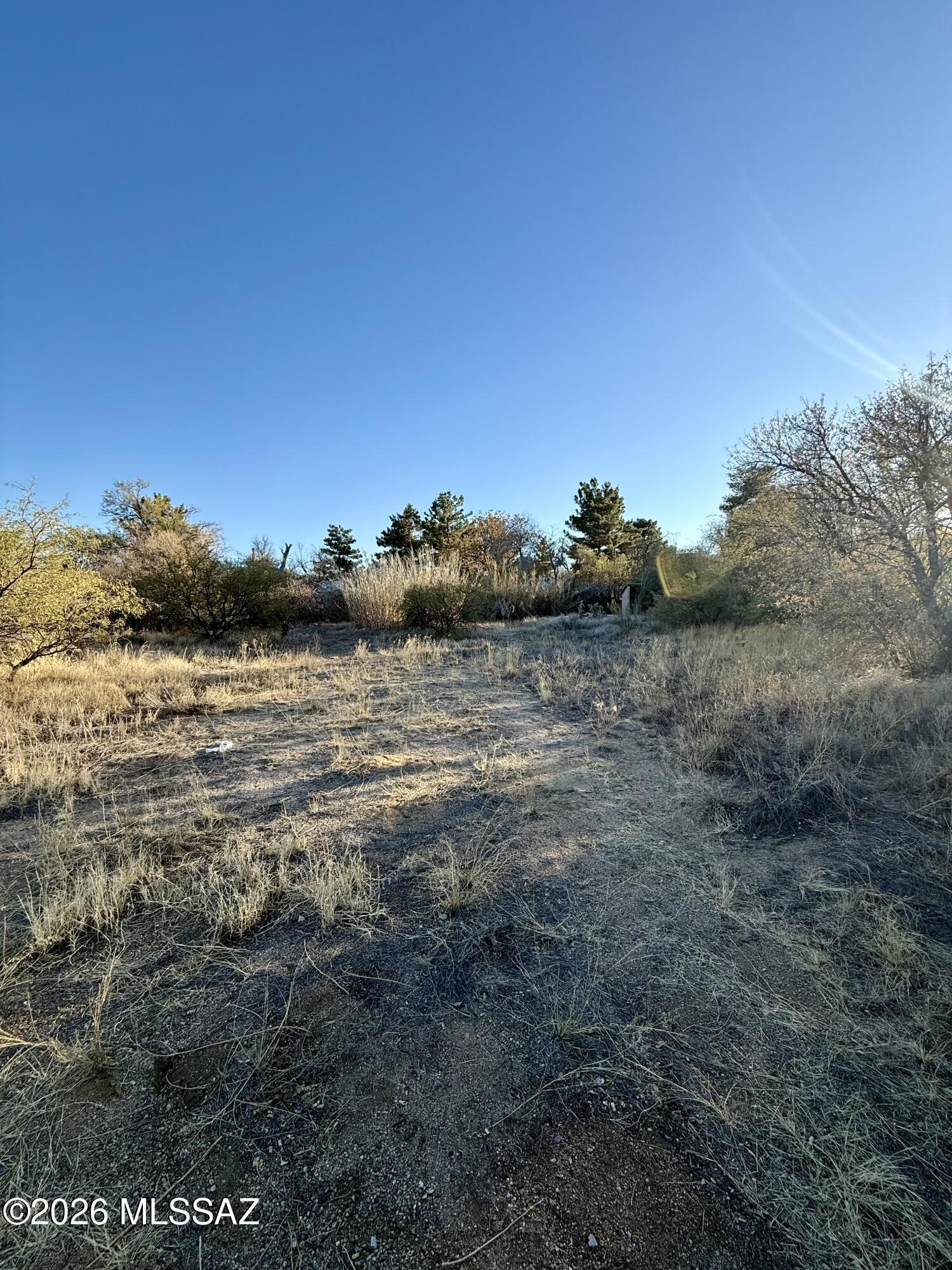 TBD E Mt Lemmon Highway