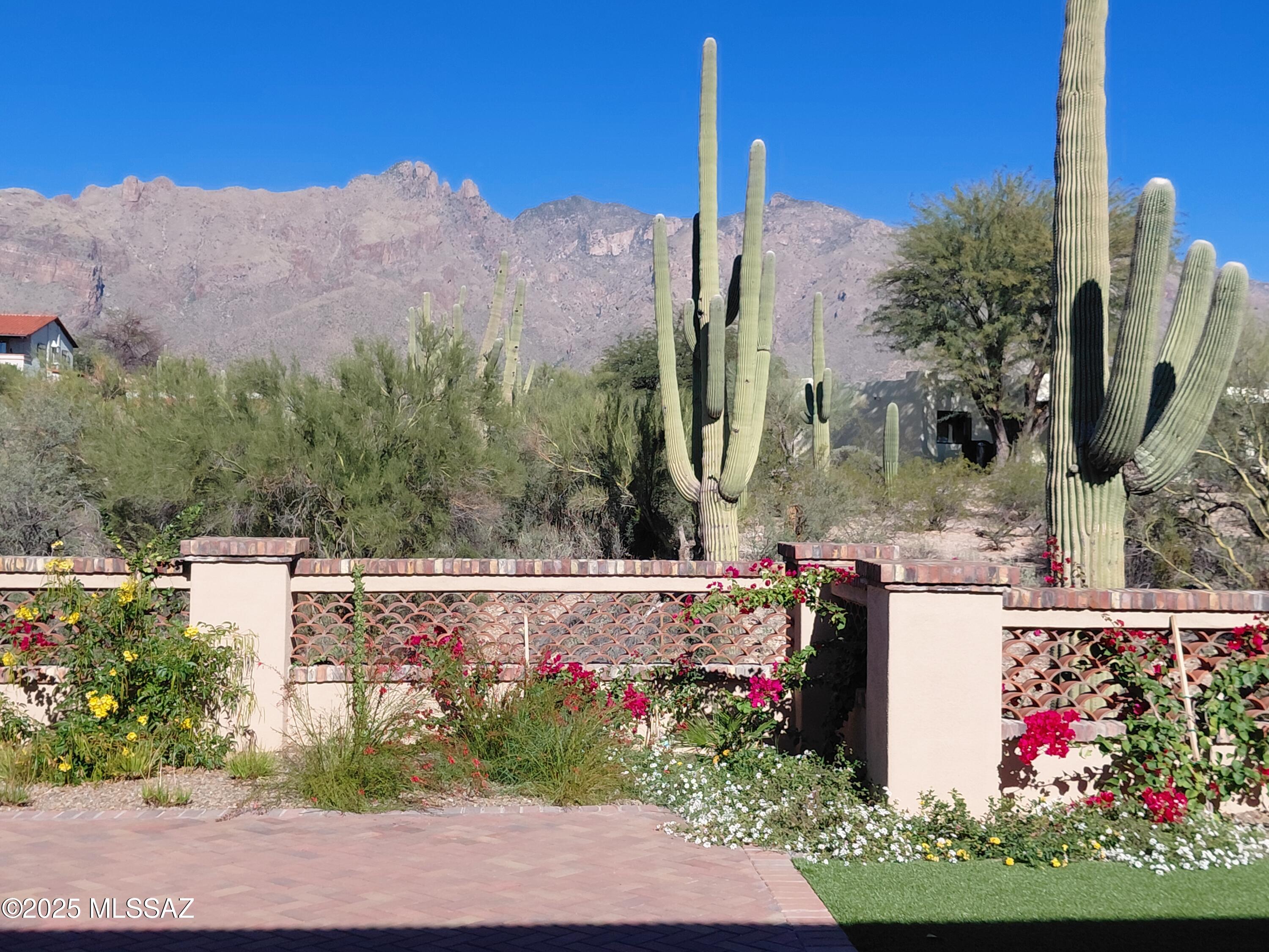 Catalina Foothills Estates 6 Th - Residential