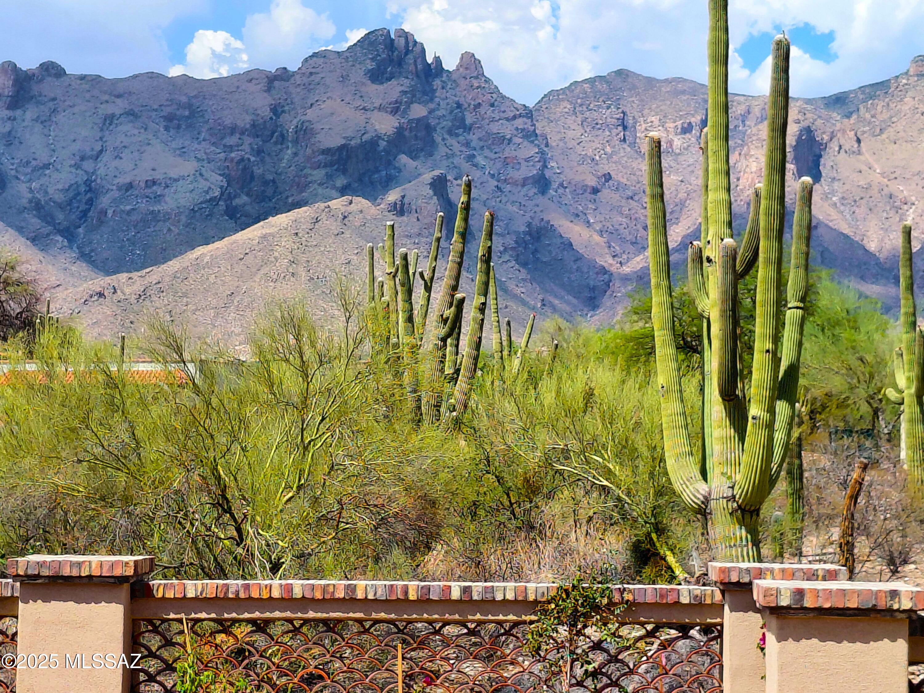 Catalina Foothills Estates 6 Th - Residential