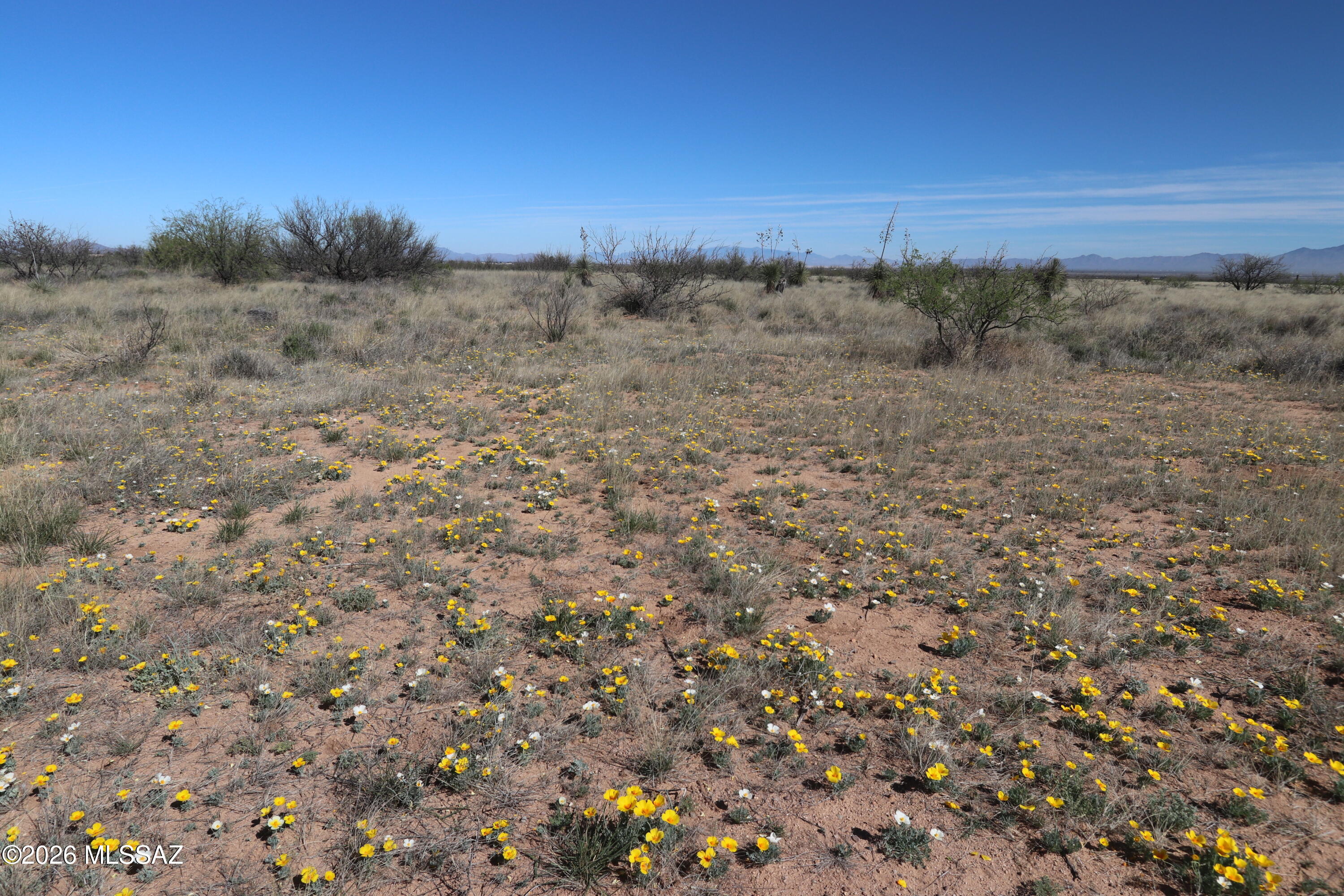 Arizona Sun Sites - Land