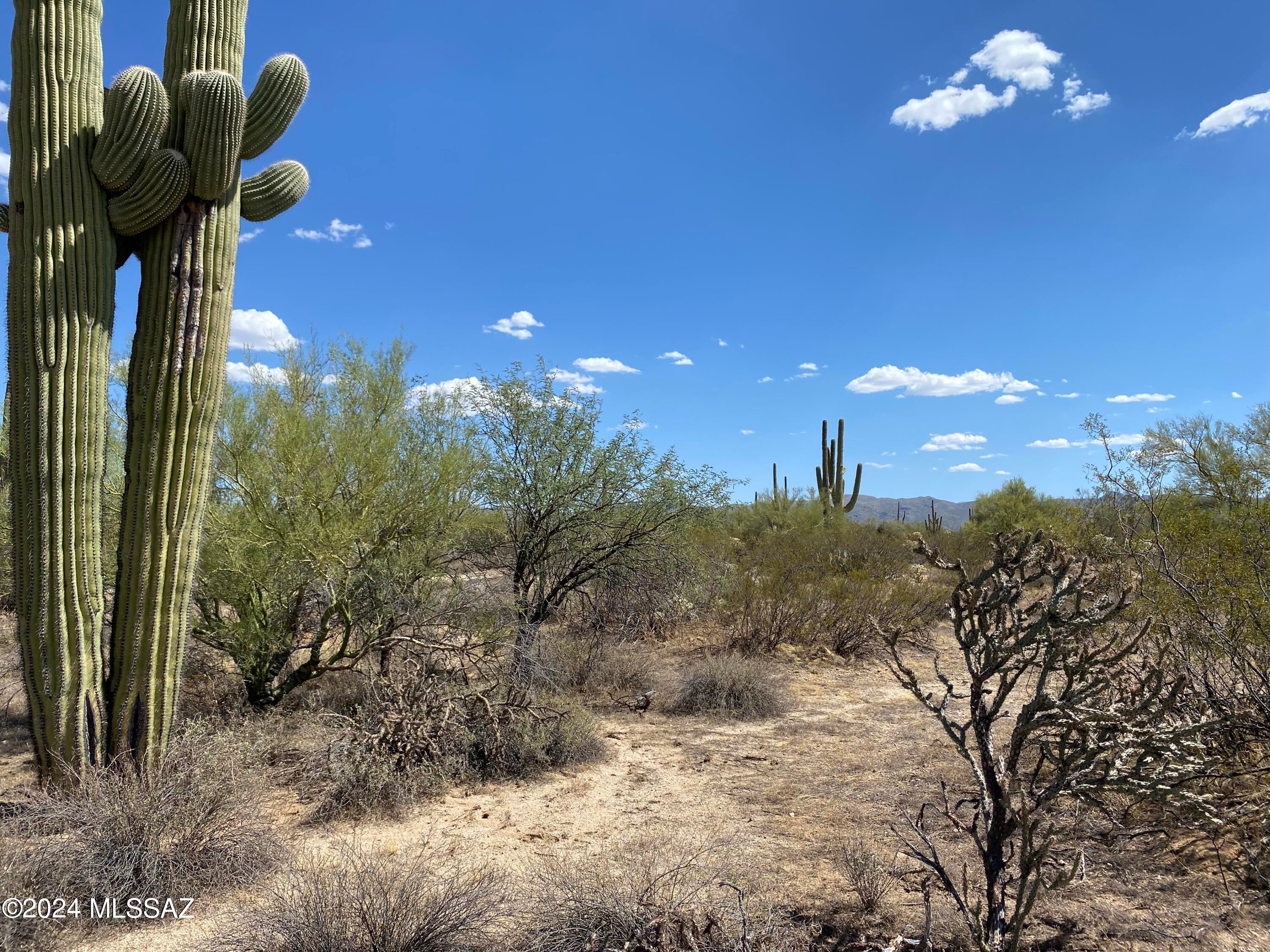 +/-40acres E Davis Ranch Road -