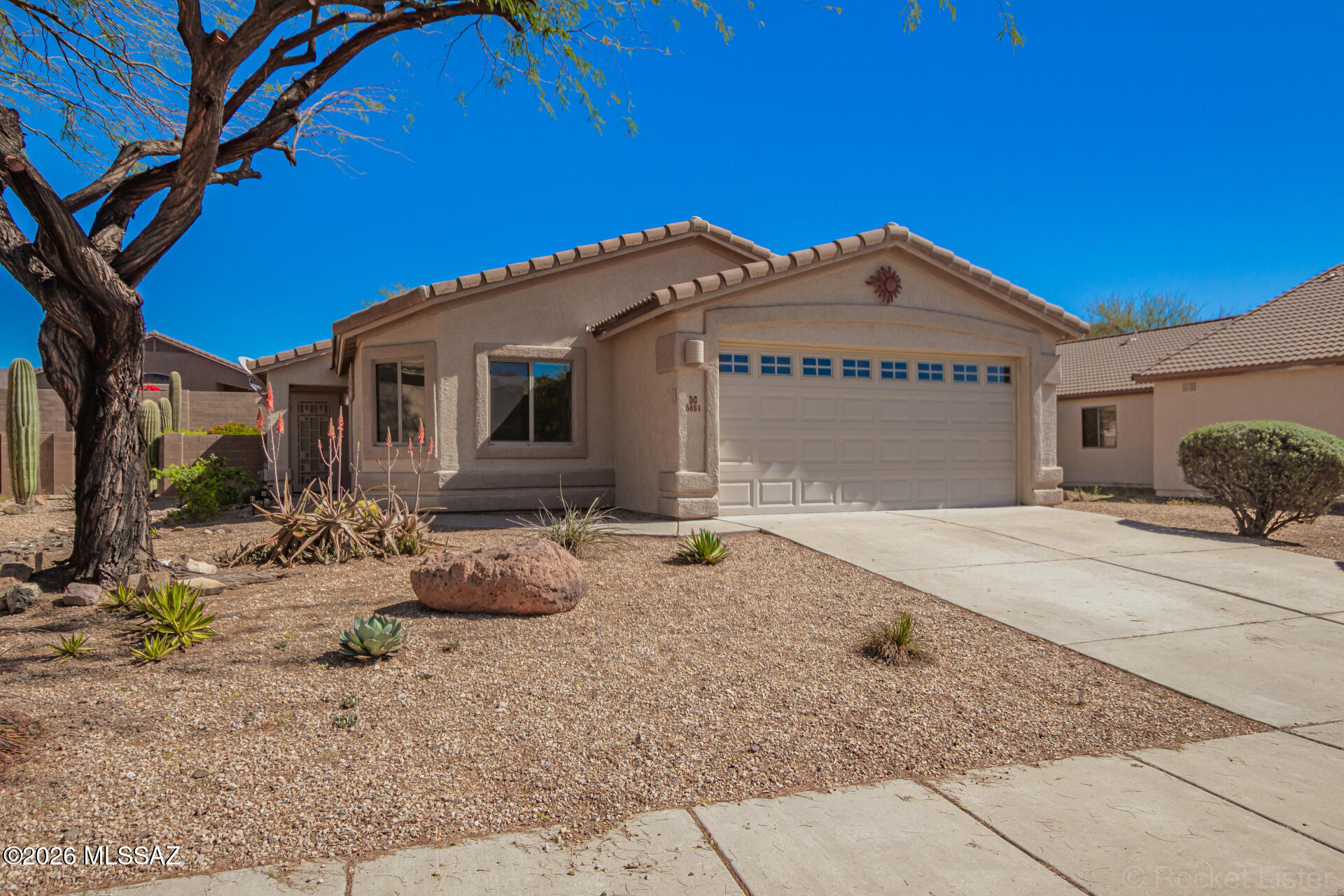 5864 W Mohave Bloom Drive