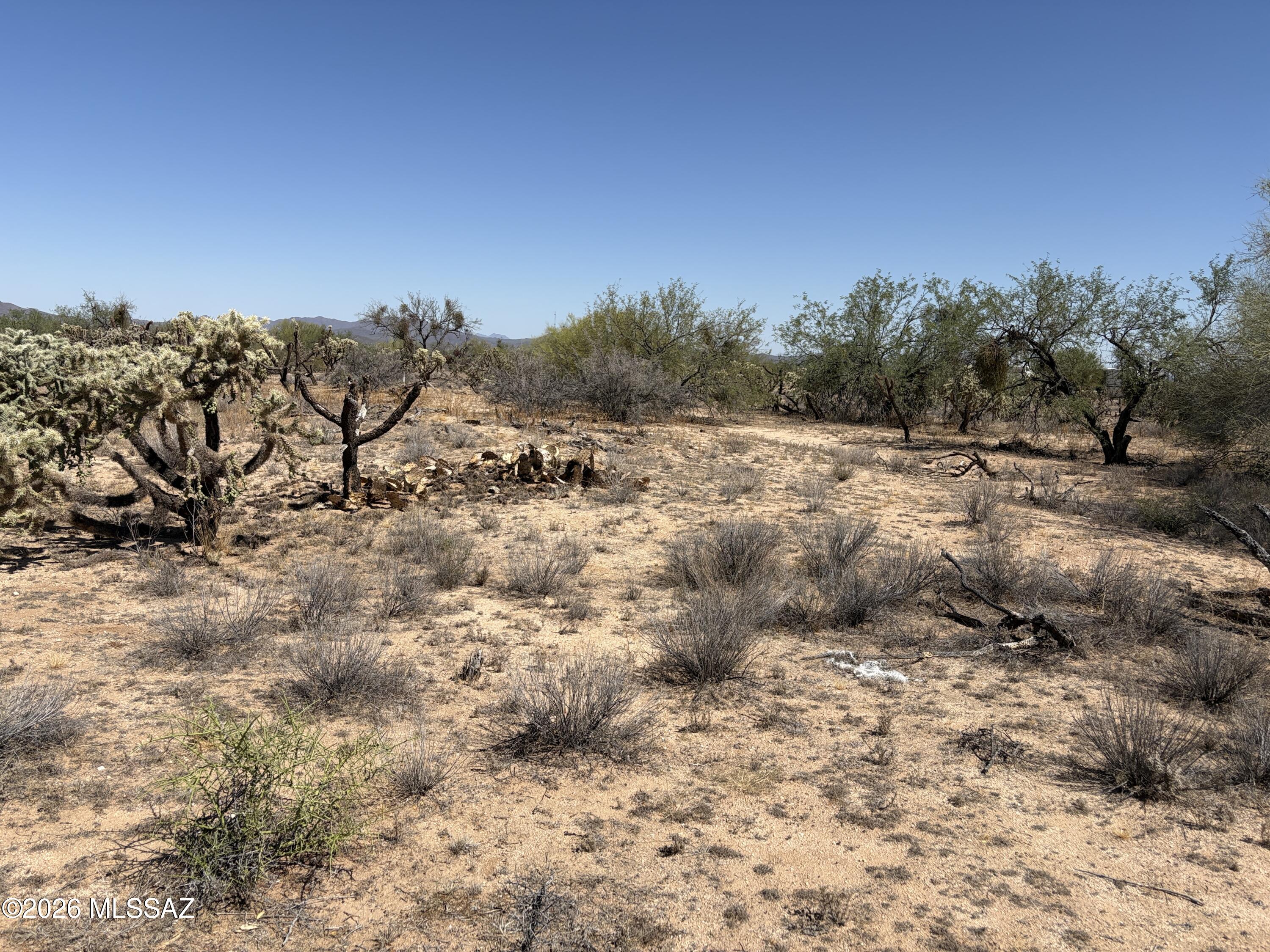 Diamond Bell Ranch - Tucson (1-229) - Land