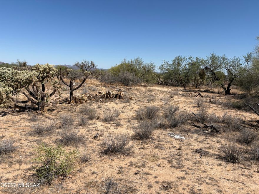 Two acres in Diamond Bell Ranch on dirt road .  Pristine land - never developed - electric 2/10th mile south - area of site built and manufactured homes - great opportunity for a homestead.