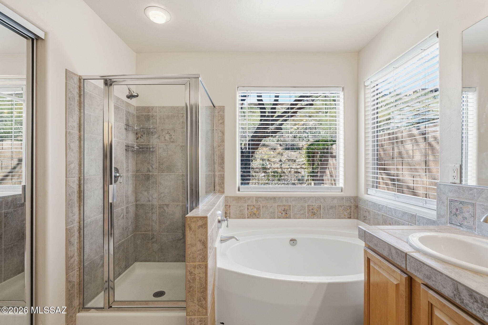 Sabino Mountain (1-290) - Residential