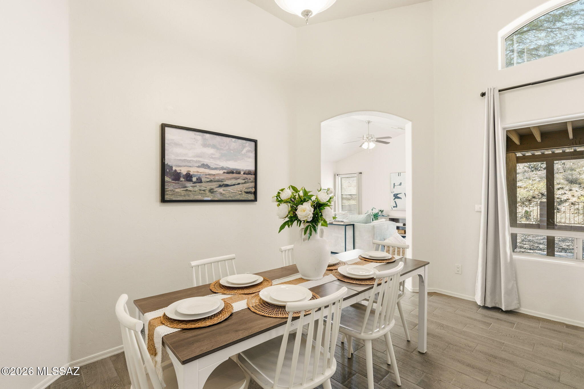 Sabino Mountain (1-290) - Residential