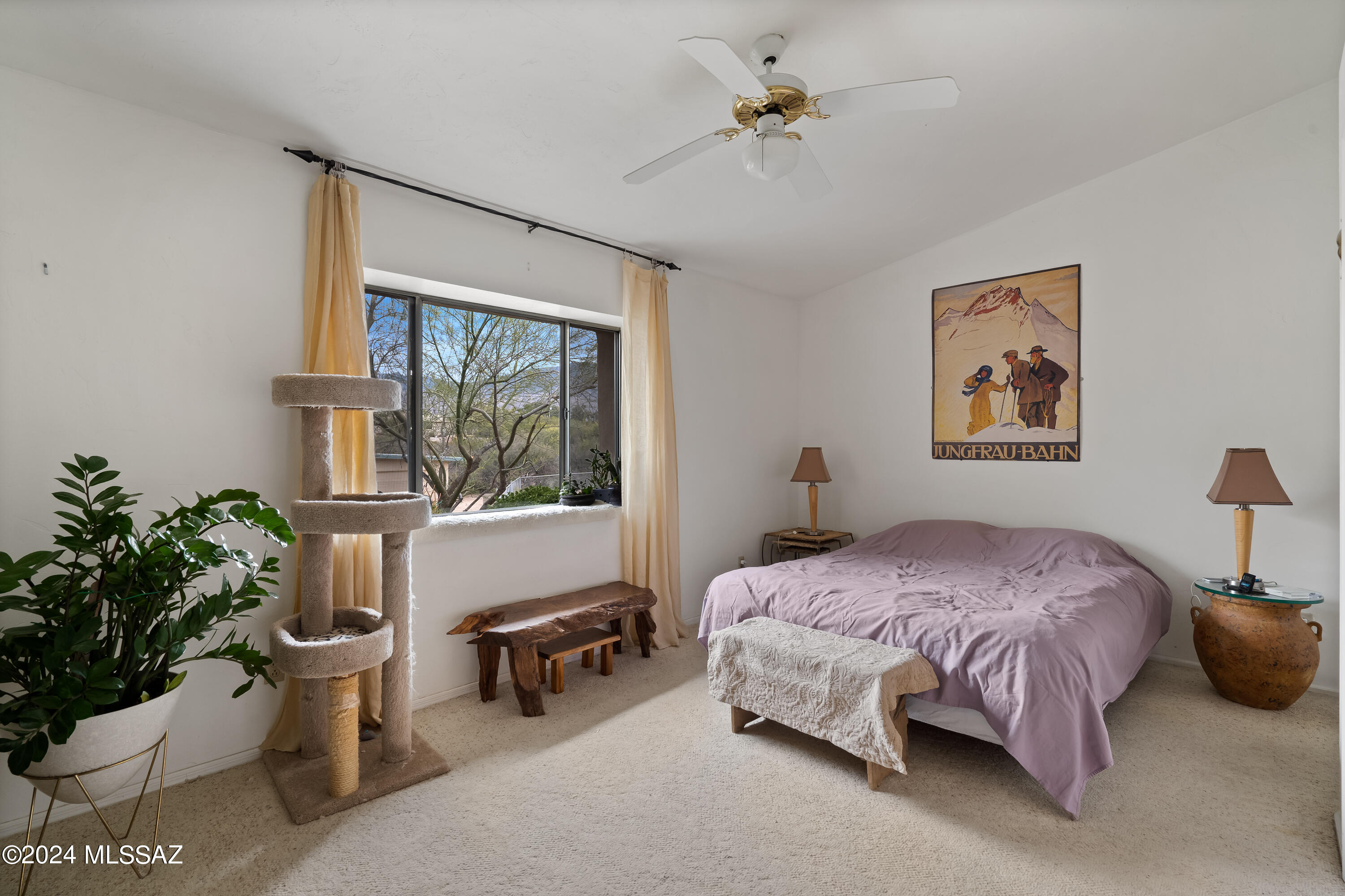 Saguaro Cerro Estates - Residential