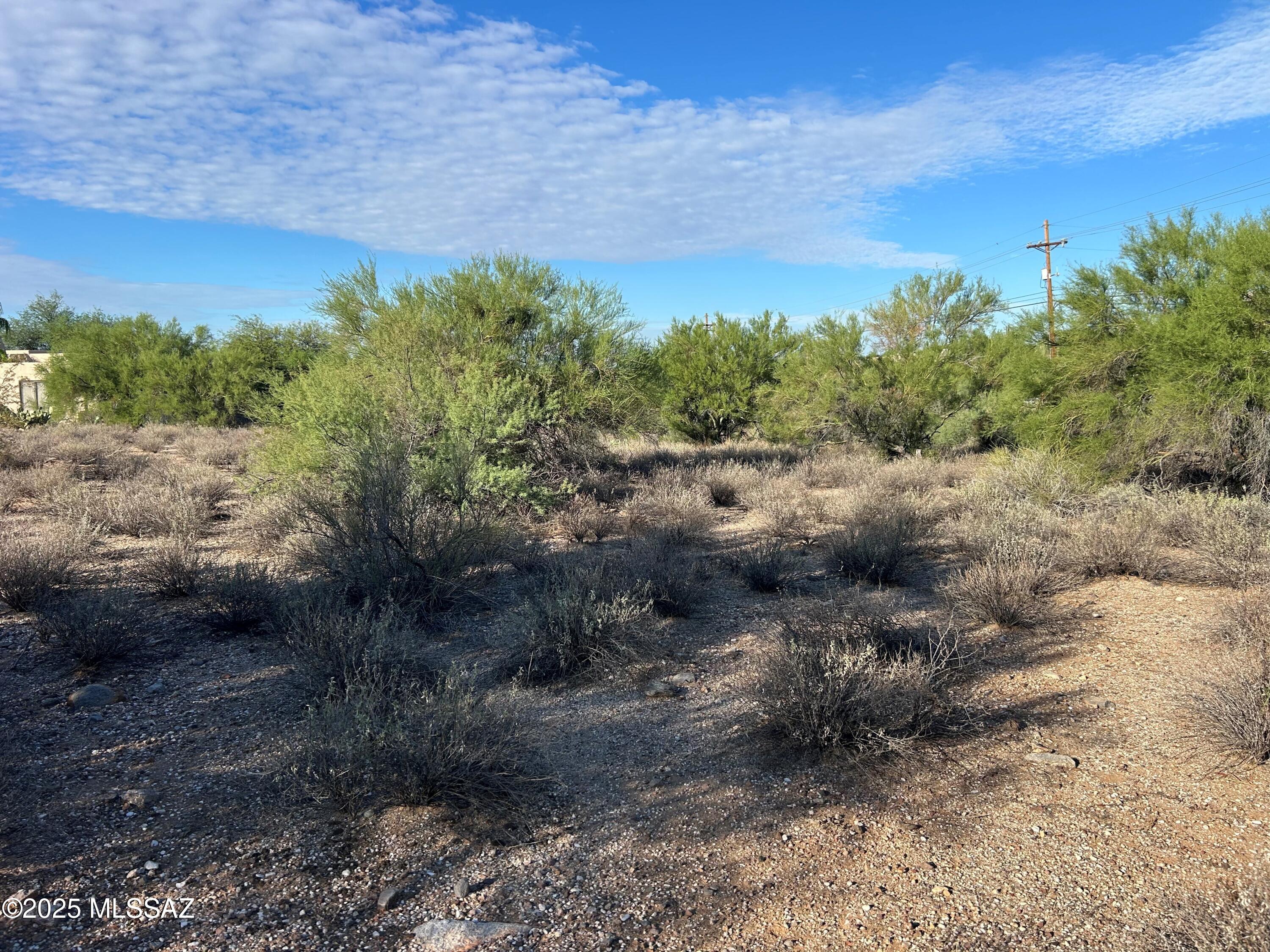 Catalina Foothills Estates NO. 10 (1-72) - Land