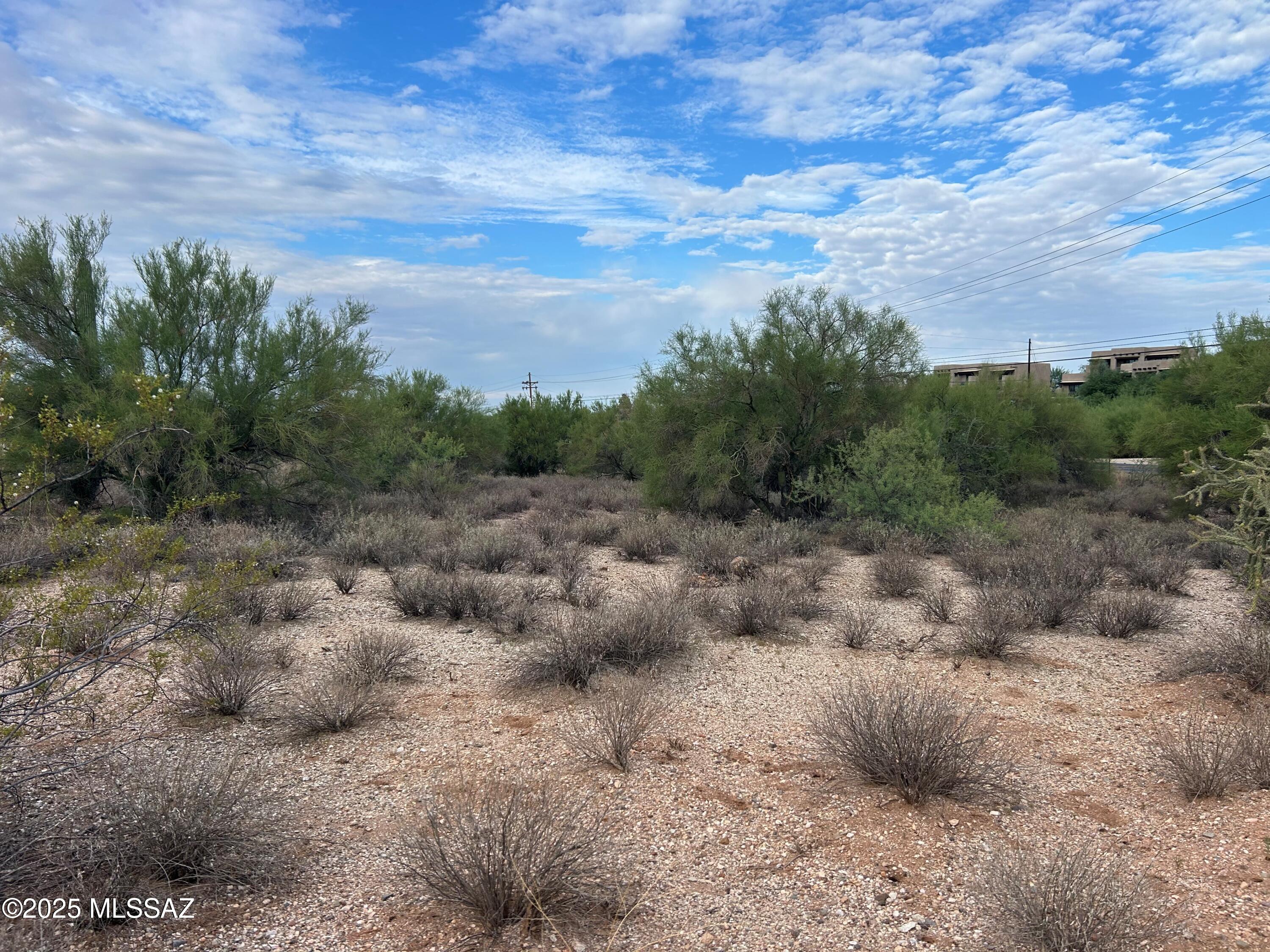 Catalina Foothills Estates NO. 10 (1-72) - Land