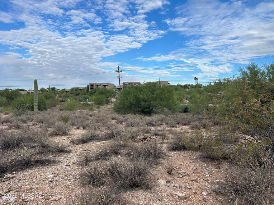 Rare, highly desirable Catalina Foothills Estate No. 10 lot. Build your dream home on this gorgeous lot. Enjoy the sunrise mornings and sunset evenings.  Catalina Foothills Estate No. 10 is a gated community. Lot 4 is outside the gated community and is not accessed the full gated community dues. No sewer connection. Owner/Agent.