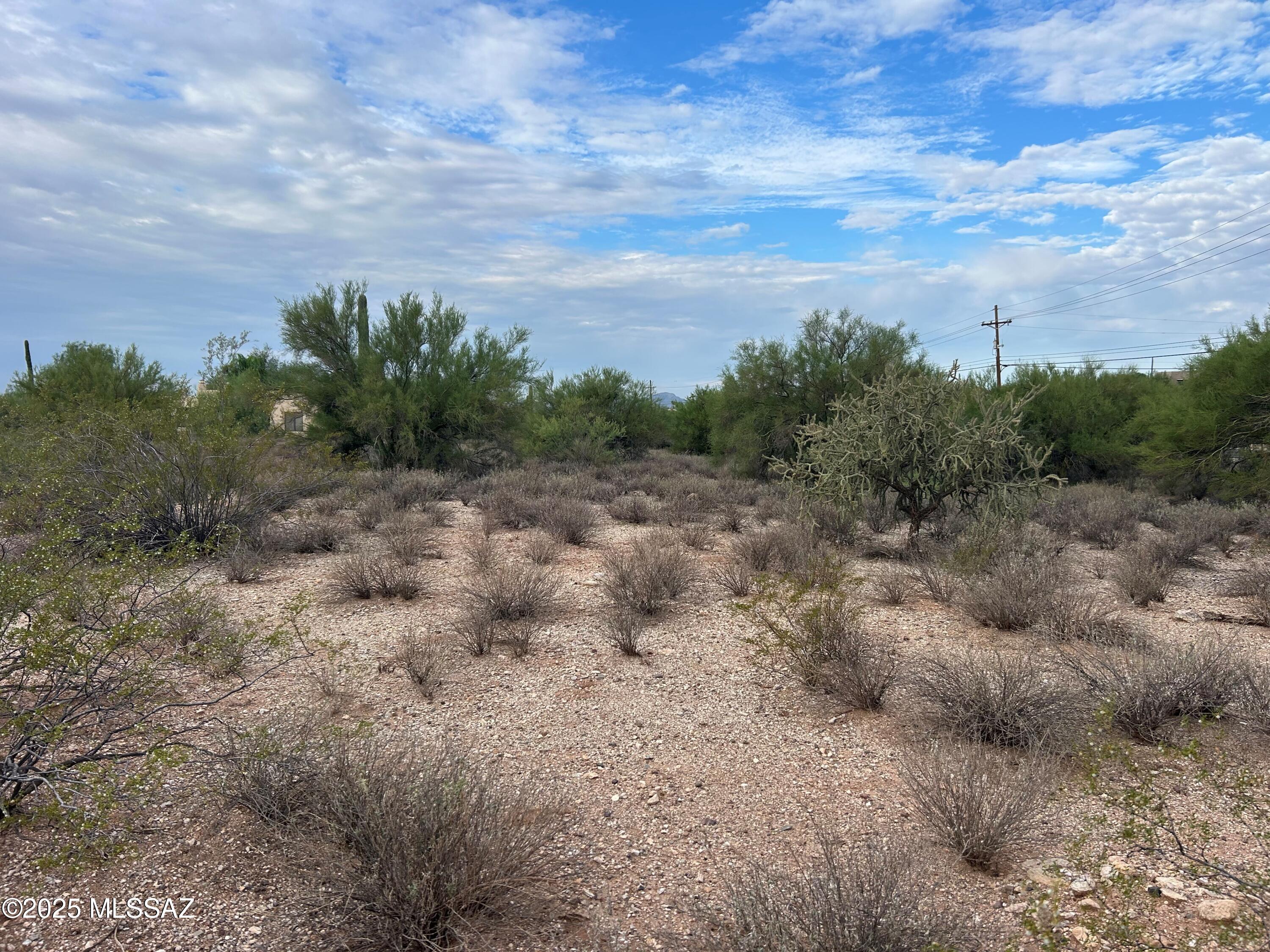 Catalina Foothills Estates NO. 10 (1-72) - Land