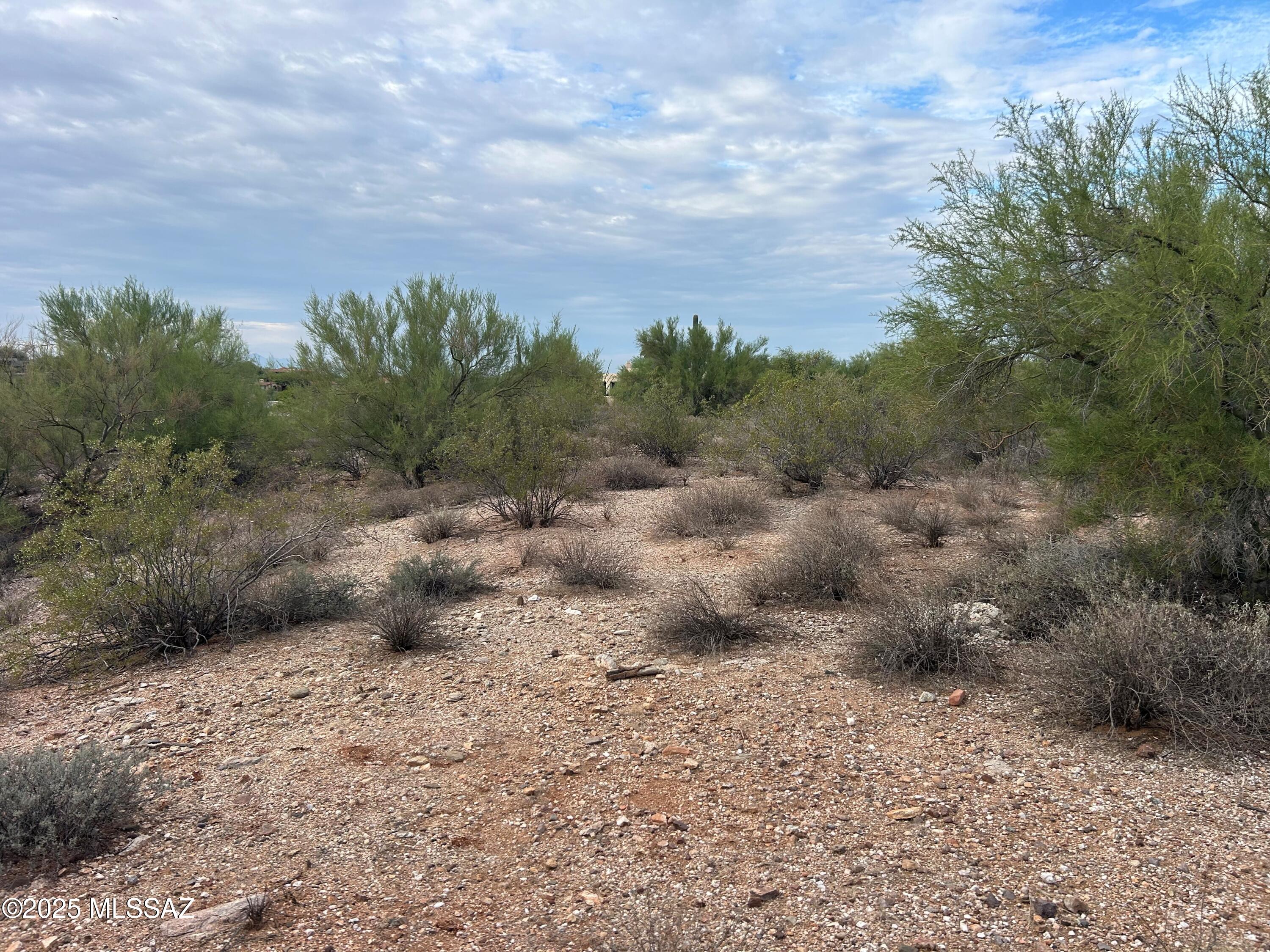 Catalina Foothills Estates NO. 10 (1-72) - Land