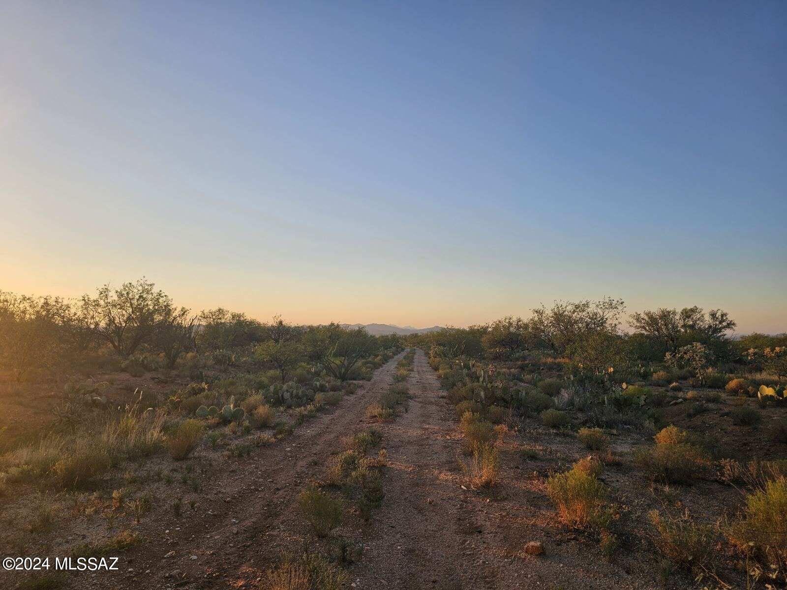 14907 S Carlburg Avenue S 203