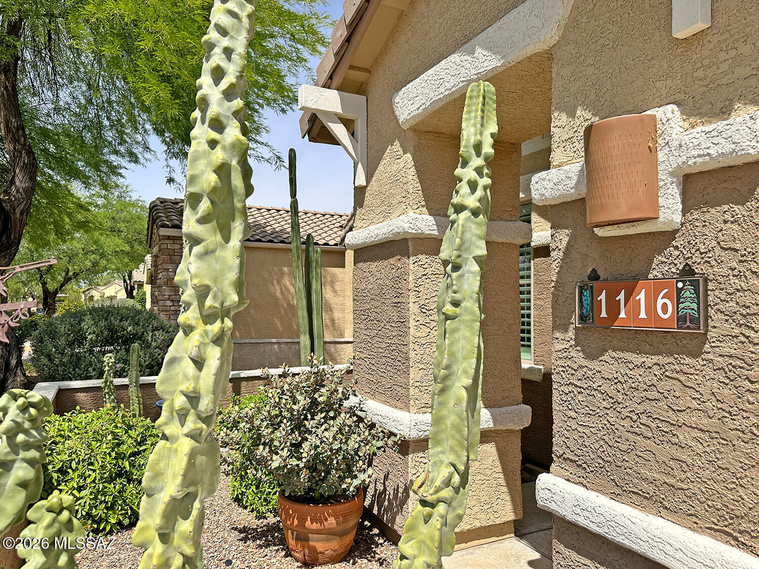 1116 W Versilia Drive