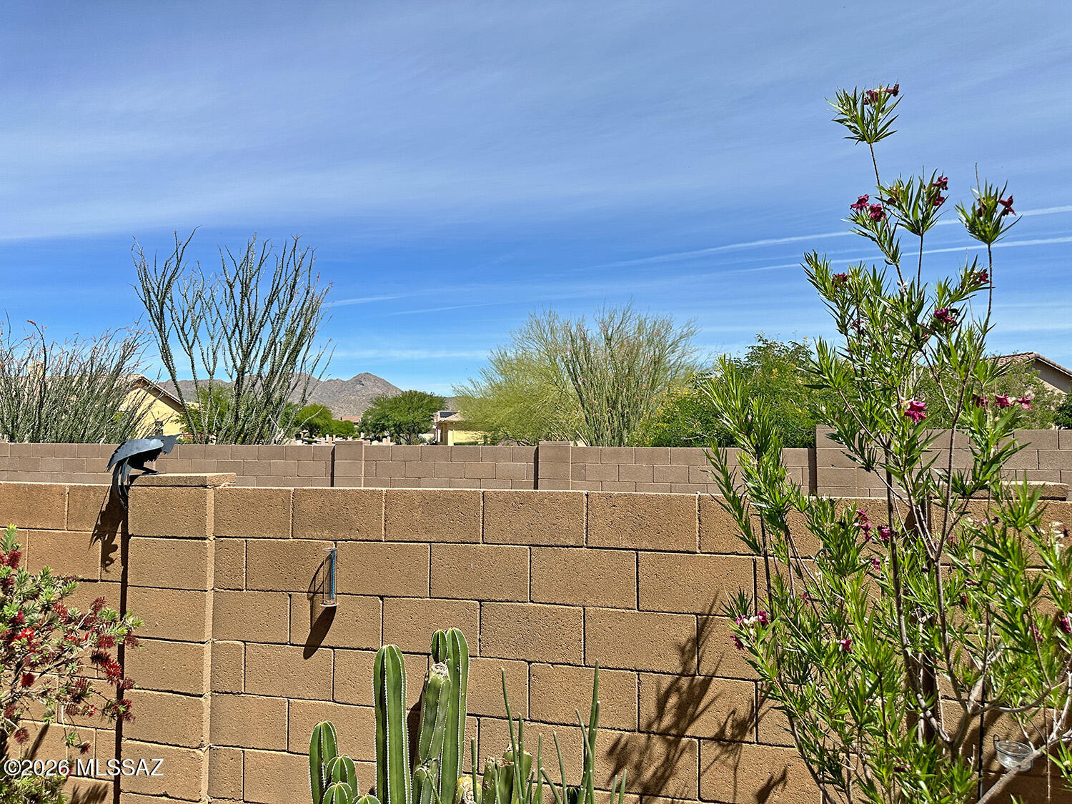 Rancho Vistoso Neighborhood 10 - Residential
