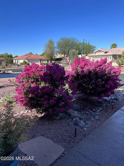 37923 S Cypress Court Tucson AZ 85739