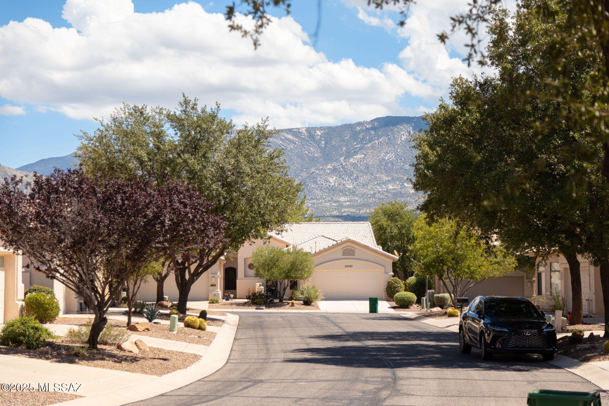 Saddlebrooke - Residential