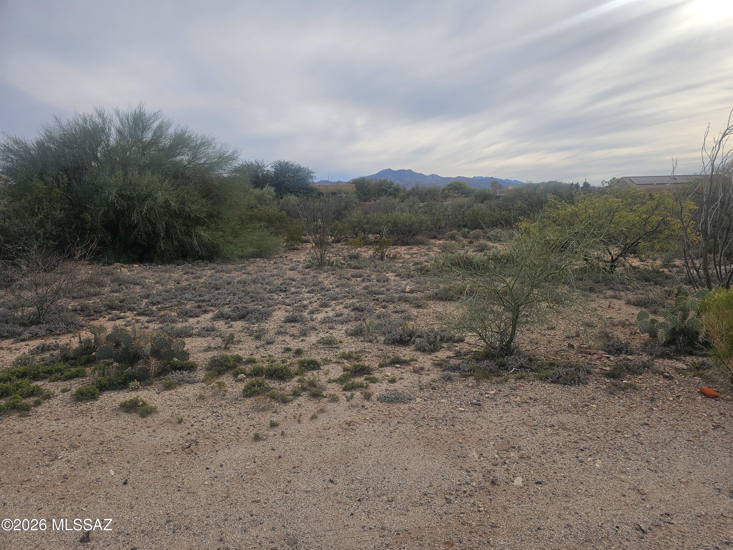 13952 E Hay Bale Trail 99