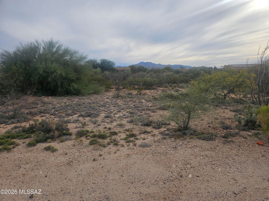 Located in the coveted Vail School District, this almost an acre lot (.92) is surrounded by custom-built homes. Come build your custom house in this gated community that offers space, serenity and privacy. The lot has stunning views of the Rincon mountains and has easy access to the I-10/Sonoita freeways.