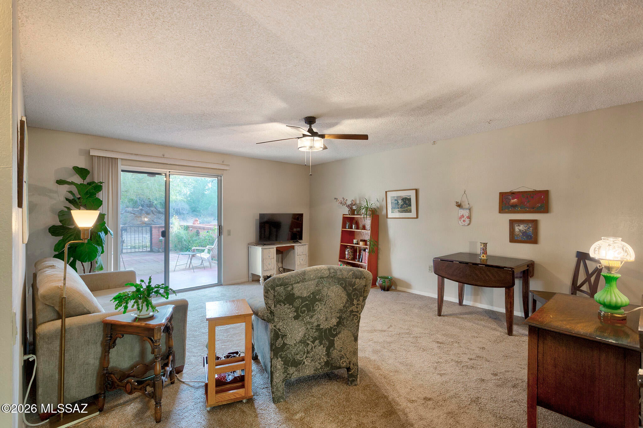 1180 S Alpine Circle