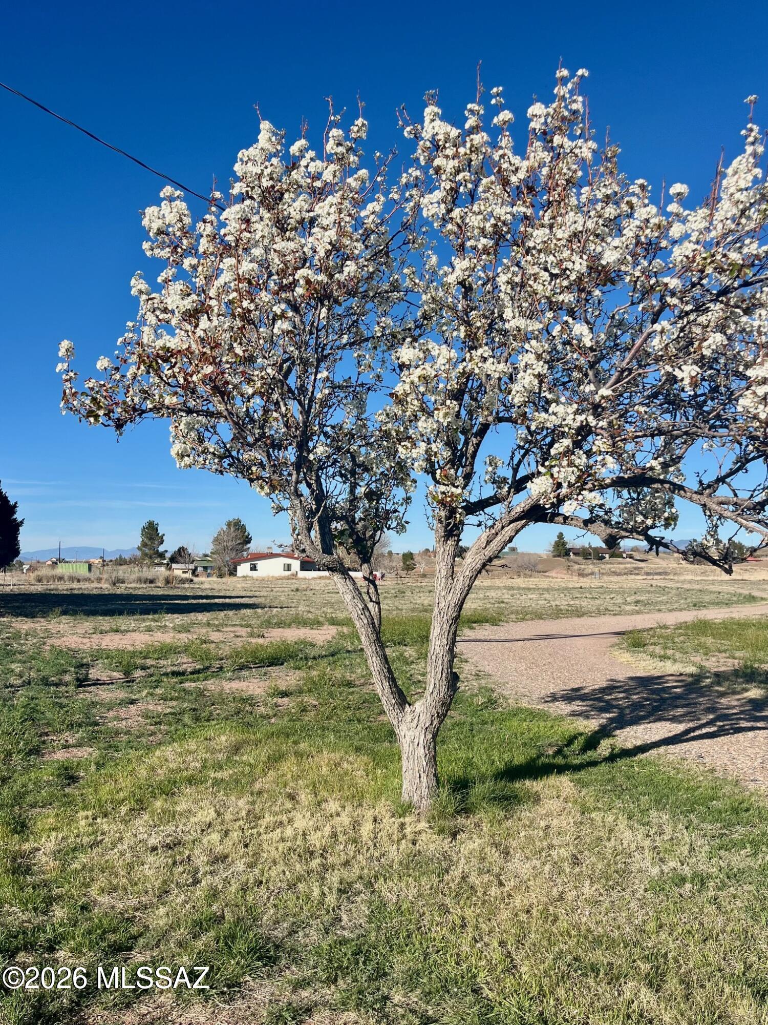 Sonoita Estates (1-18) - Residential