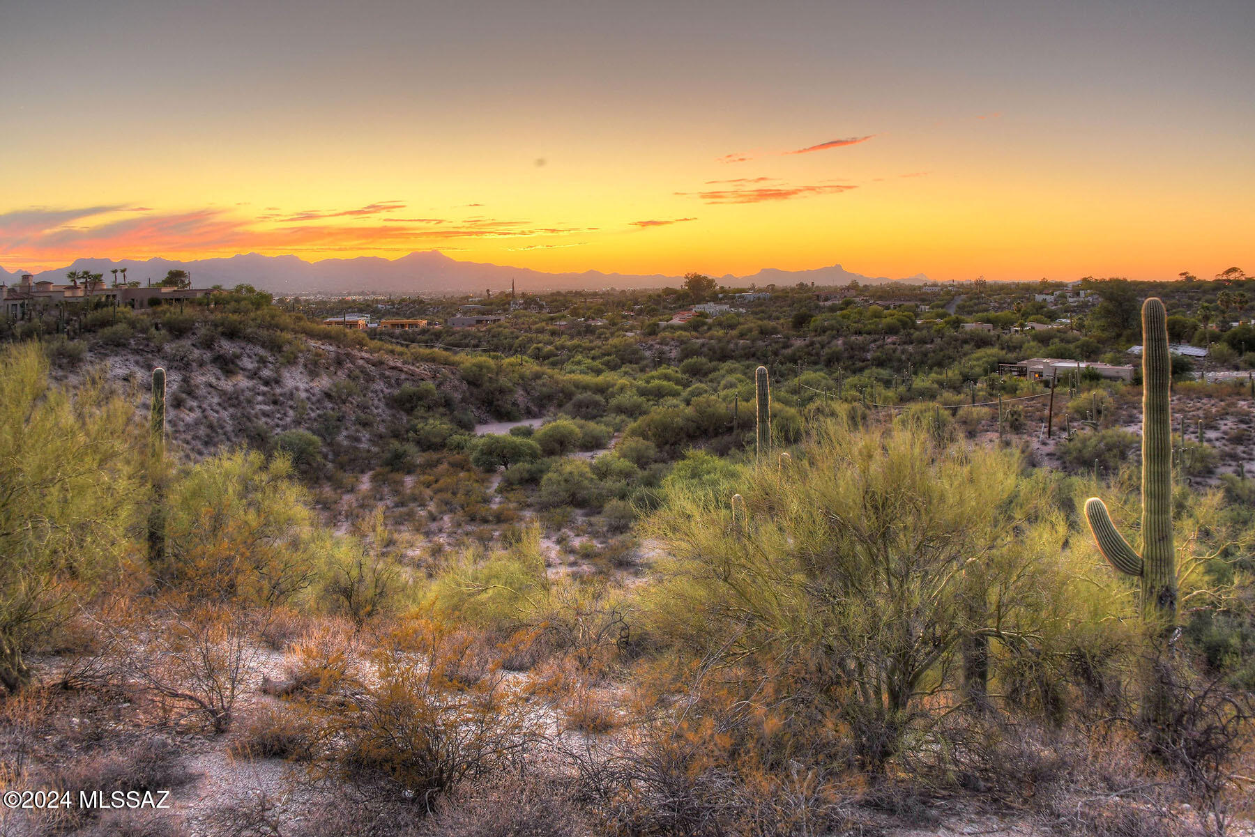 Quintana in the Catalina Foothills - Residential