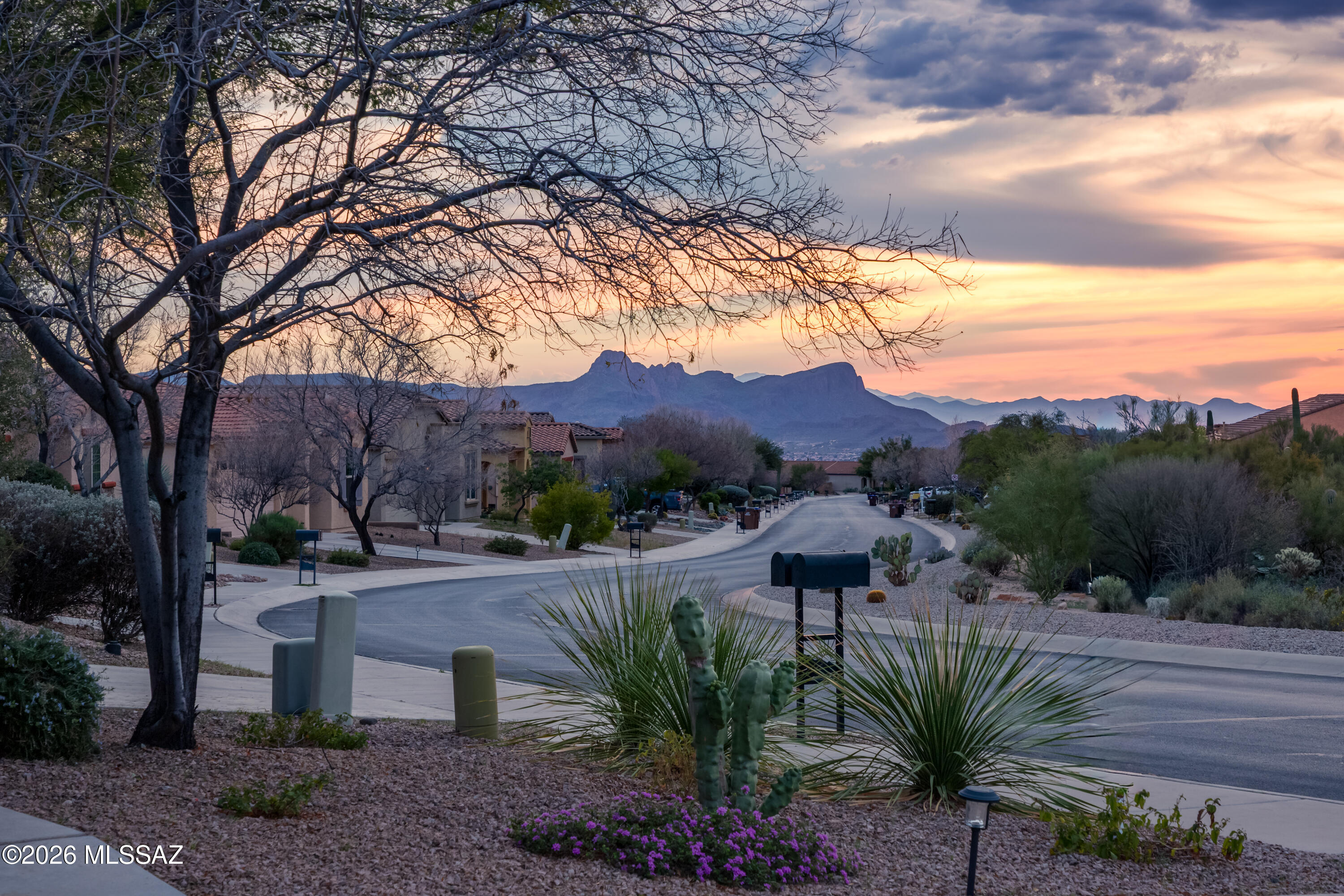 Preserve IV at Dove Mountain (487-529, 535-576, 606-650) - Residential