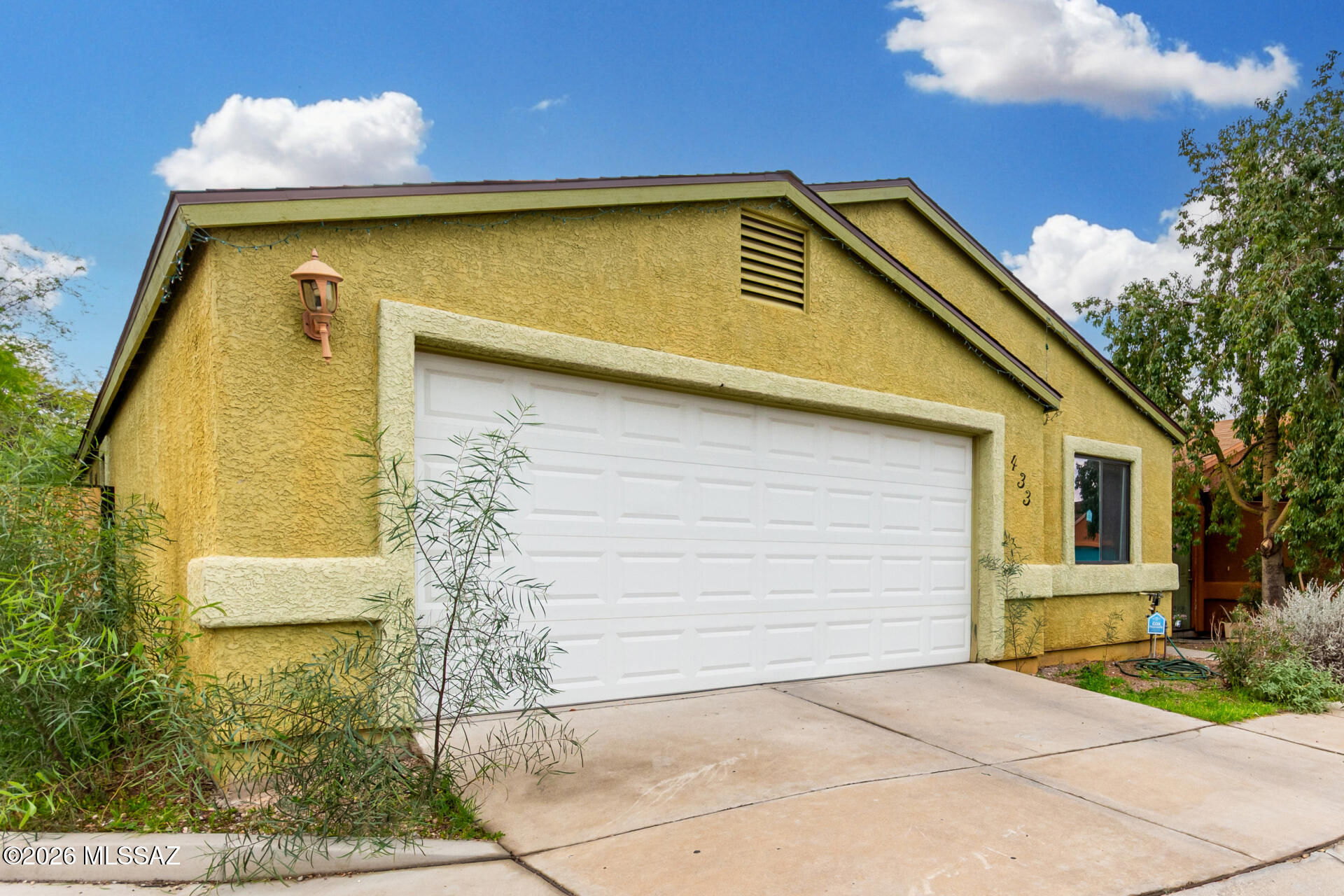 433 E Geronimo Bluff Loop