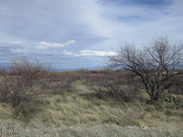 18535 S Bonanza Gold Drive S B