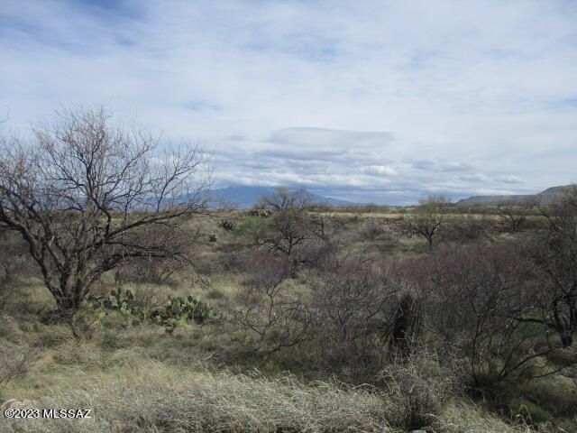 18535 S Bonanza Gold Drive S B