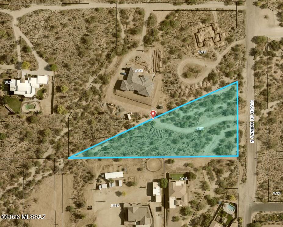 11125 N Camino De Oeste 000