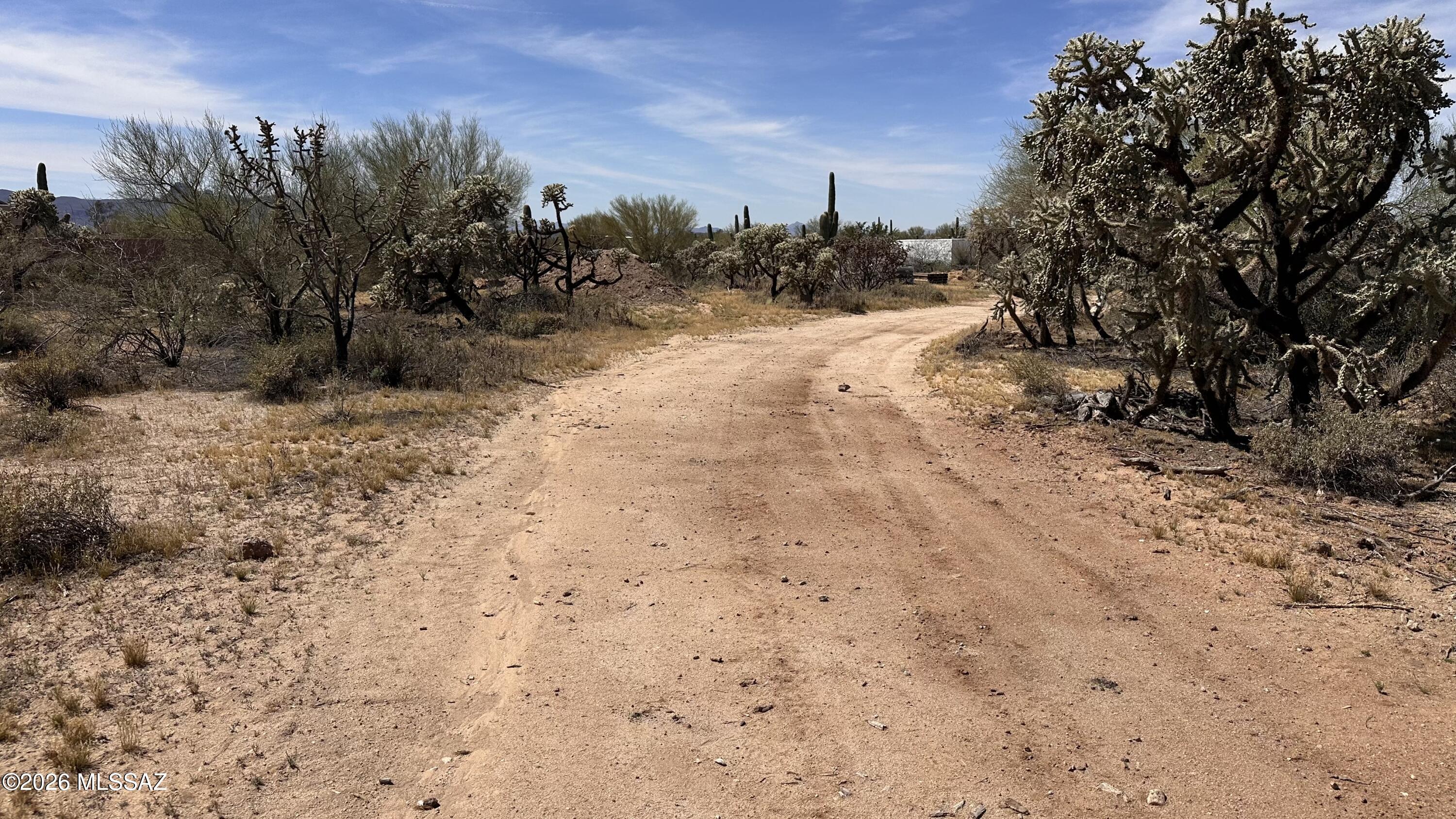 11125 N Camino De Oeste 000