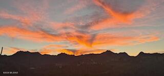 2081 N Calle Del Suerte